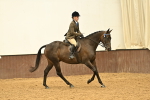 SBM_001988