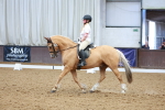 SBM_007312