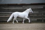 SBM_004059