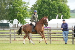 SBM_10575