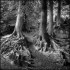 Path Between