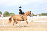 SBM_03407