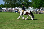 SBM_09403