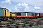 31st May 1987