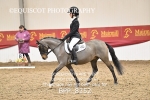 BPP_8252
