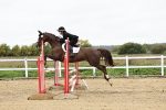 SBM_006869