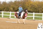 SBM_000768