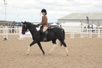 SBM_18139