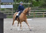 BPP_6829