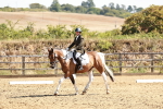 SBM_000781