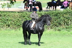 SBM_50347