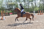 BPP_4311