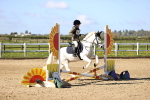 SBM_000254