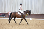 SBM_002532