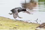 20140503-3K8A0792