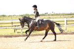 SBM_000391