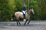 WJ5_9737