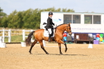 SBM_011334