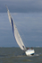 141025 PETAL K1481 WT7A9514