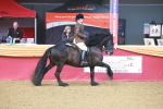 SBM_10543
