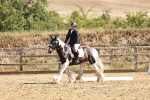 SBM_000810