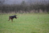WJ6_0980