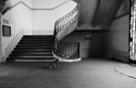 Porto Street Photography