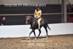 BPP_9906