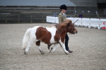 SBM_003928
