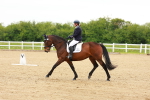SBM_005040