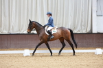 Class 6 CT Novice 3 portfolio