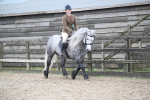 SBM_006469