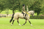 SBM_74993
