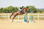 SBM_000978