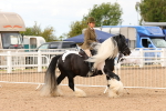 SBM_15660