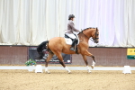 SBM_003818