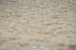 230708A-135134-03760