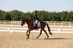 SBM_006861