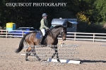 BPP_8539