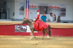 SBM_13787