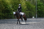WJ5_9772