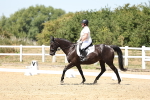 SBM_001669