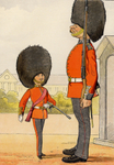 Major Seccombe 28