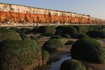 <center>Evening at Hunstanton</center><br>