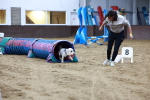 SBM_005904