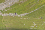 Ennerdale-4