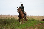 WJ6_9425