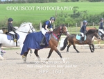 BPP_1601
