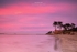 Pink sunset on Burrow Beach, Sutton