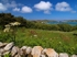 Bryher